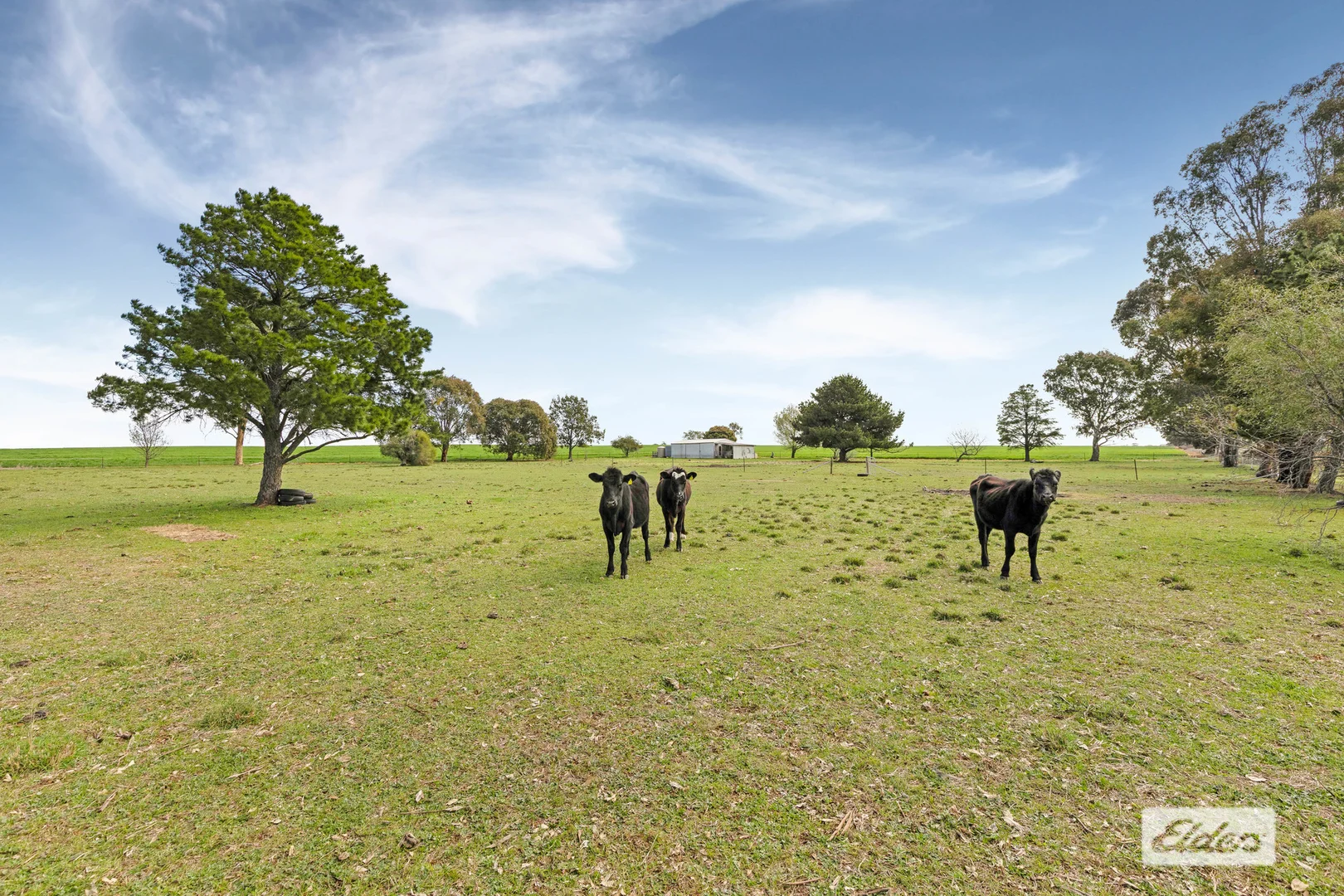 Additional image 7 of 1 Toomy Road, Marong VIC 3515