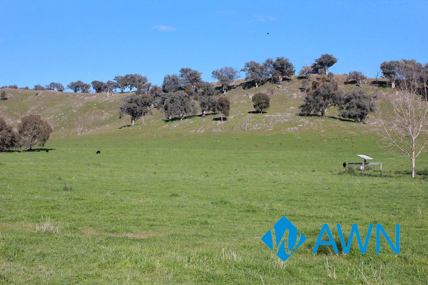 Additional image 18 of 252 Welshs Road, Baddaginnie VIC 3670