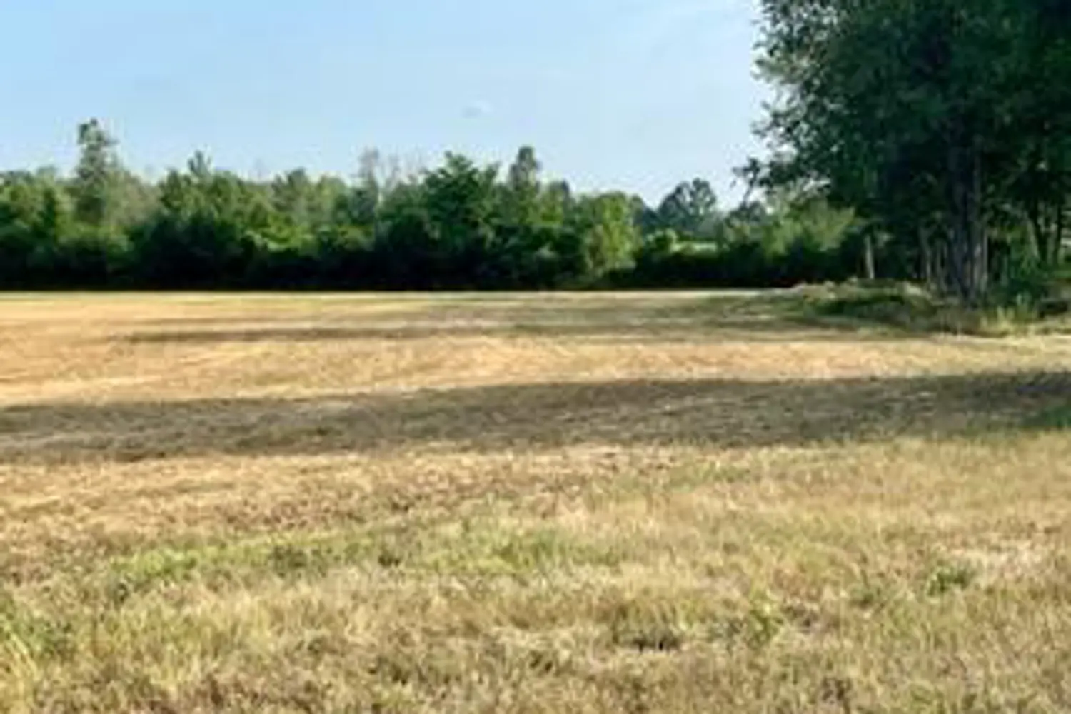 Additional image 5 of 0 Kitley Line 8 Road