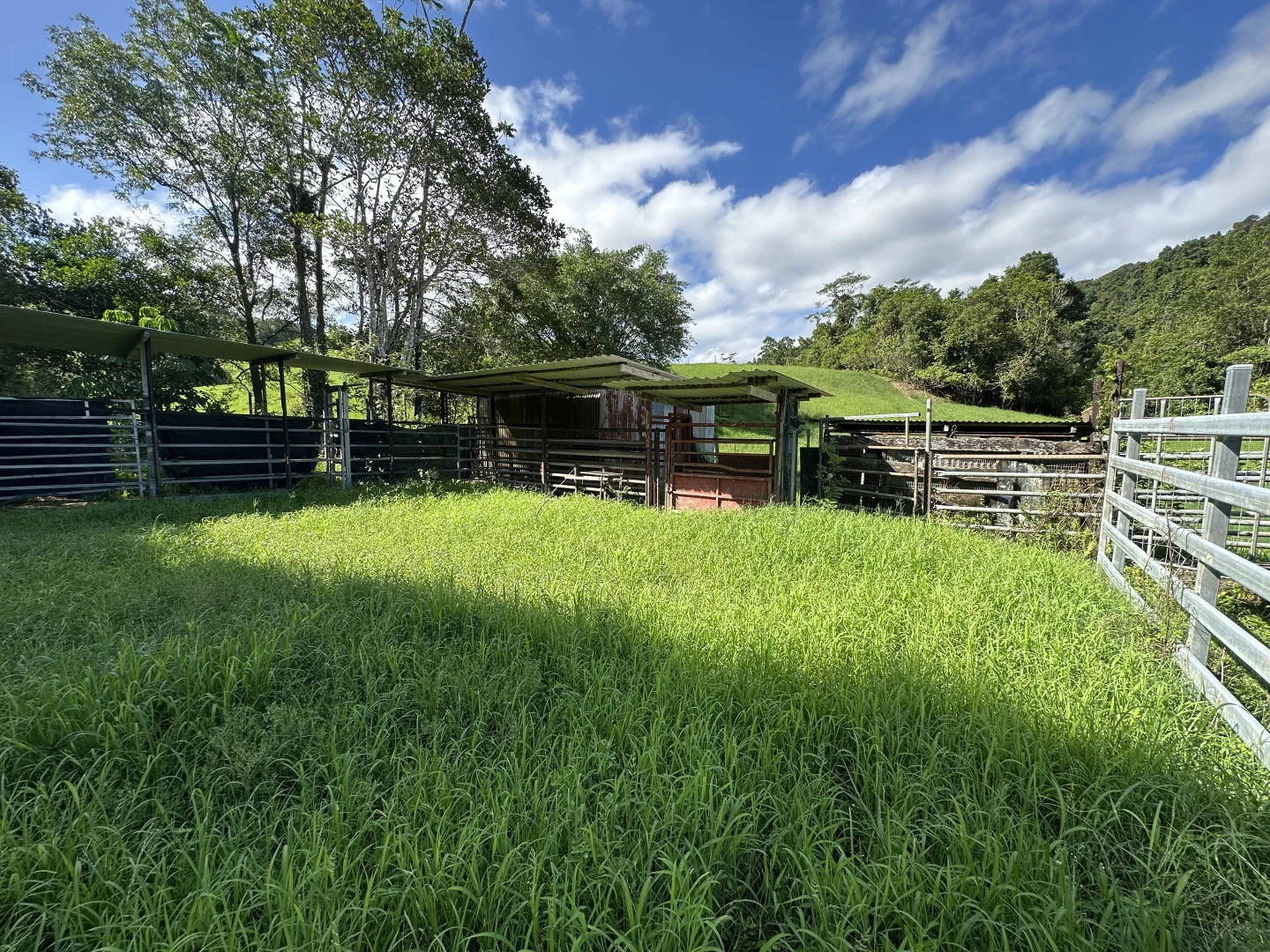 Additional image 22 of Japoonvale QLD 4856