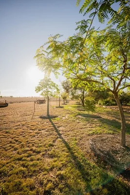 Additional image 20 of 446 Bassett Lane, Roma QLD 4455