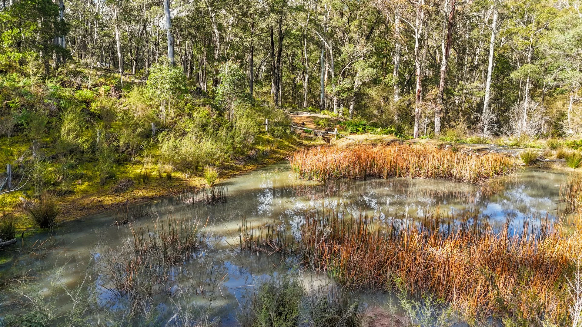 Additional image 16 of Lot 115 Big Jack Mountain Road, Cathcart NSW 2632