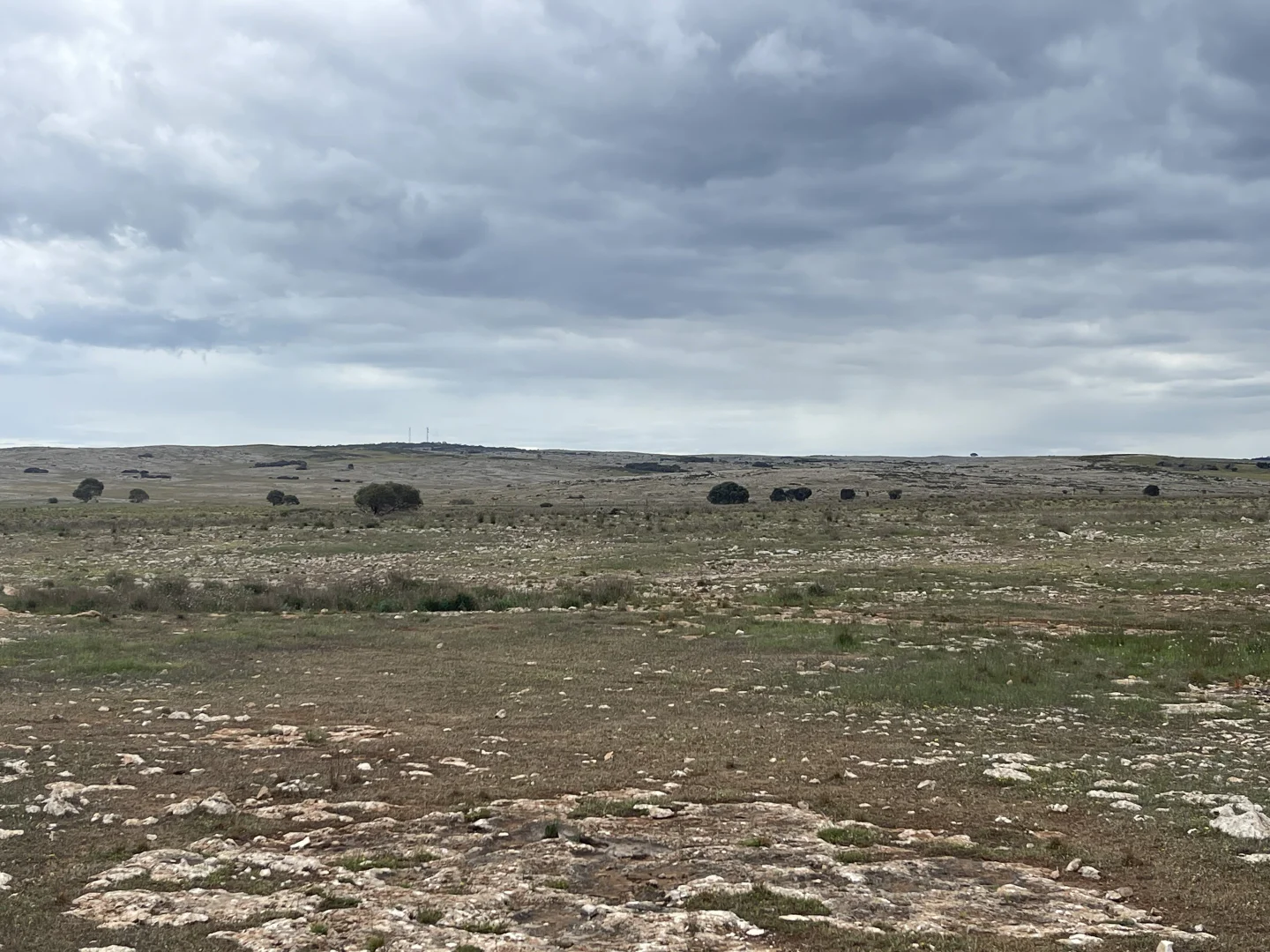 Additional image 10 of 1 Section 217, 217 & 219, Bramfield SA 5670