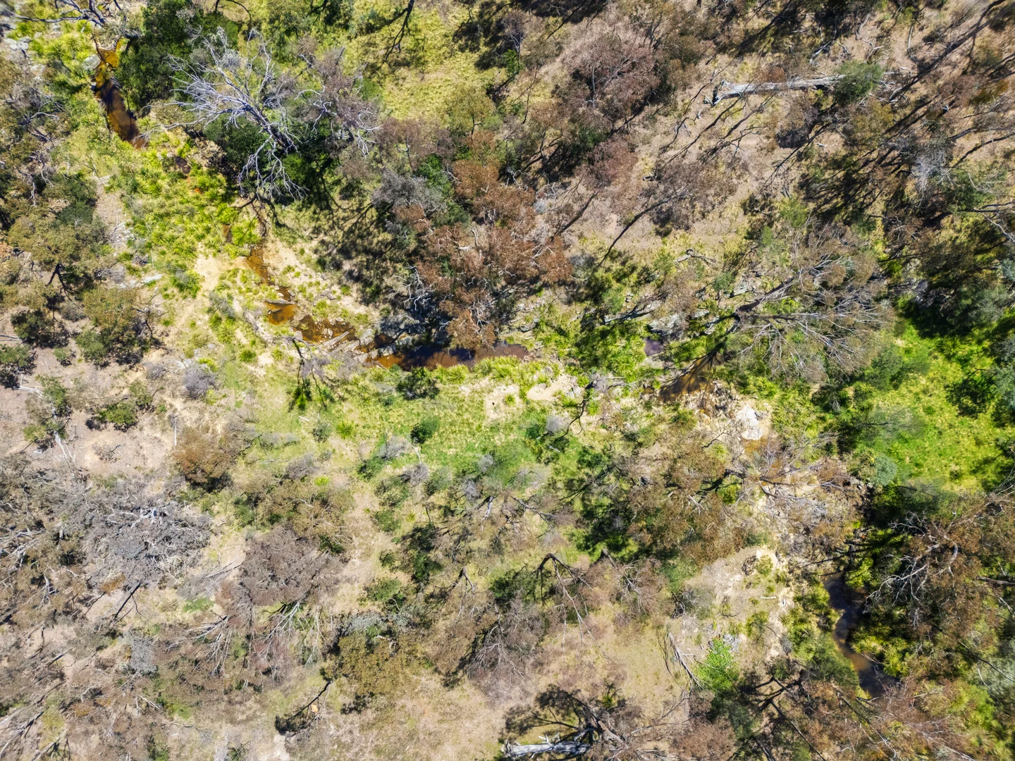 Additional image 13 of 925 Marked Tree Road, Gundaroo NSW 2620