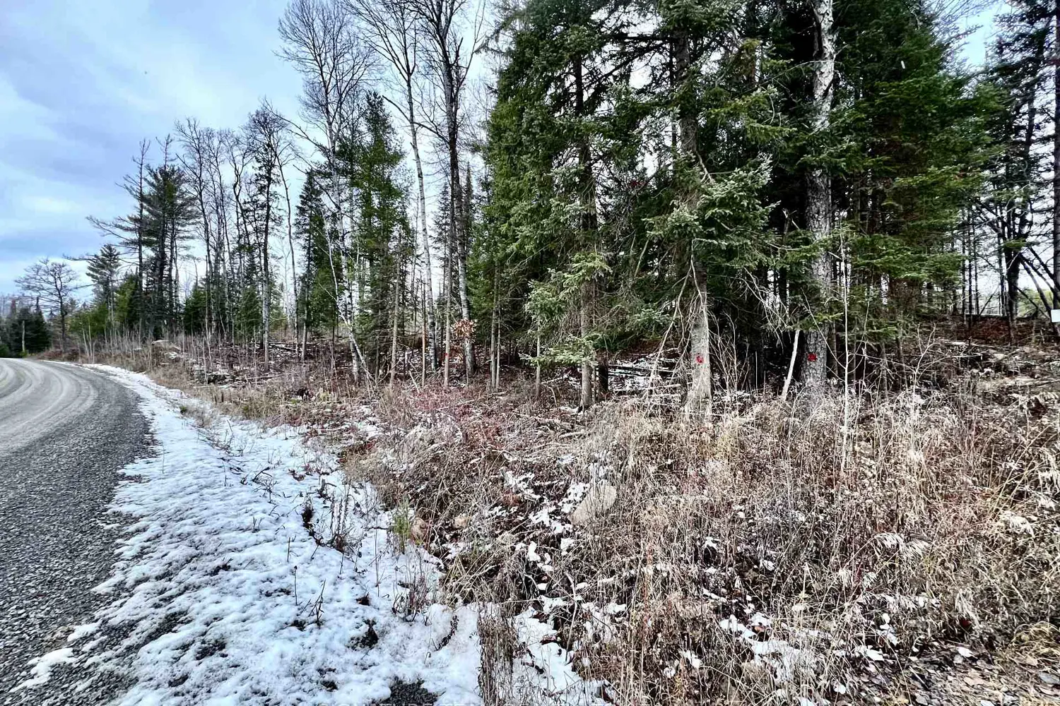 Additional image 4 of 744 Black Creek Road