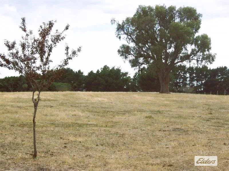 Additional image 3 of Lot 4 Reilly Drive, Elphinstone VIC 3448