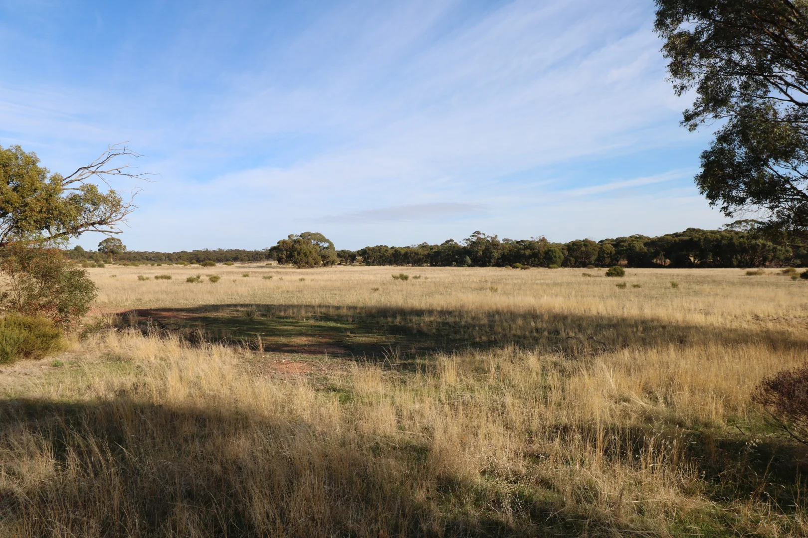 Additional image 20 of 84A Woolshed Flat Road, Wychitella VIC 3525