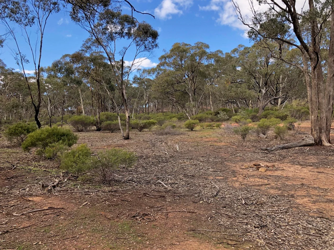 Additional image 7 of 35 Wakefield Street, Wedderburn VIC 3518