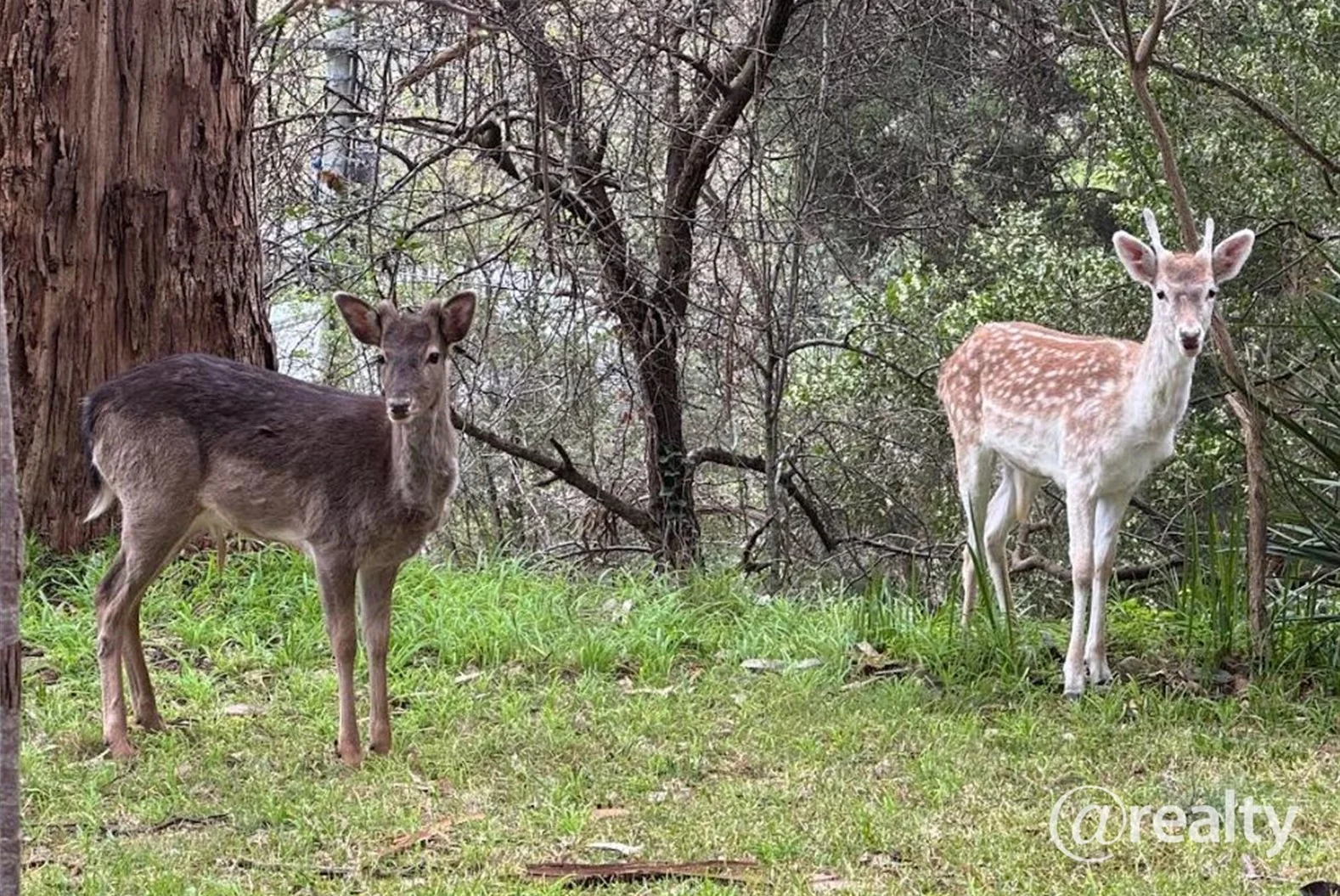 Additional image 2 of 71-73 Mast Gully Road, Upwey VIC 3158