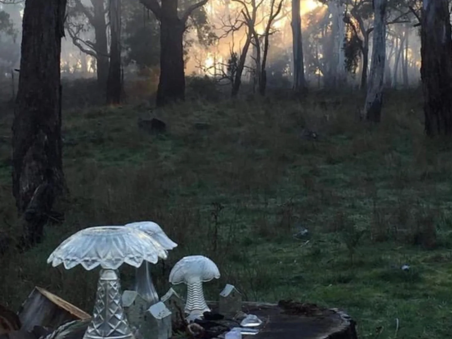 Additional image 9 of Carpendeit VIC 3260