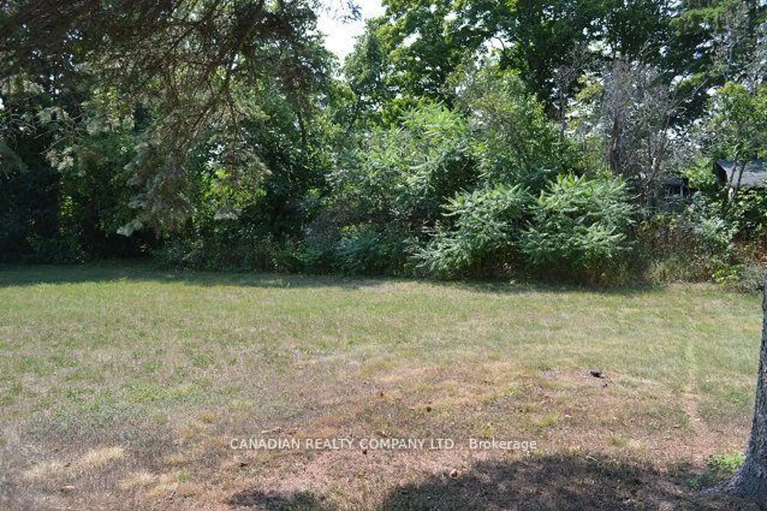 Additional image 11 of 391 Raines Street