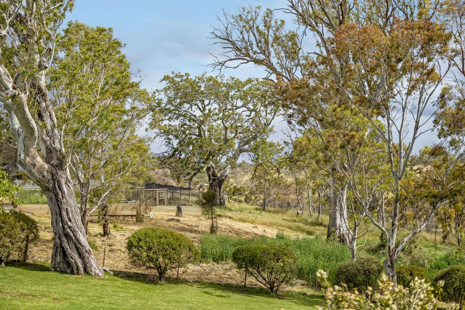 Additional image 34 of 83 Spring Lane, Mount Barker Springs SA 5251