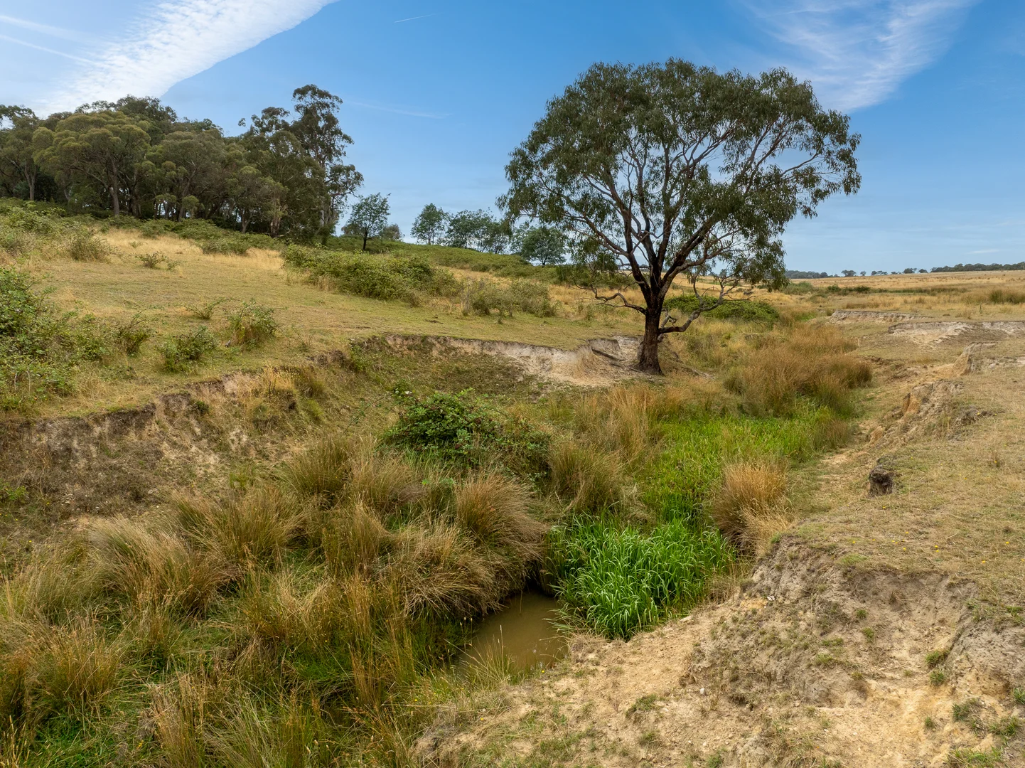 Additional image 46 of 'Top Farm' 1004 Neville-Trunkey Road, Neville NSW 2799