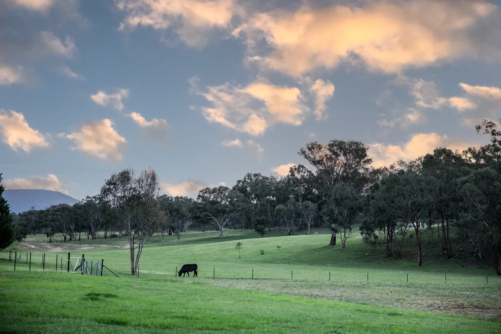 Additional image 14 of 35 Wisteria Cottage Lane, Rylstone NSW 2849