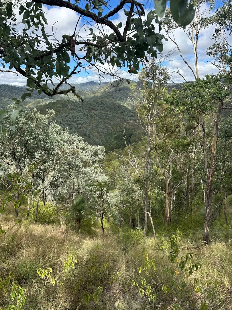 Additional image 8 of Lot 16 Bonner Road, Rivertree NSW 2372