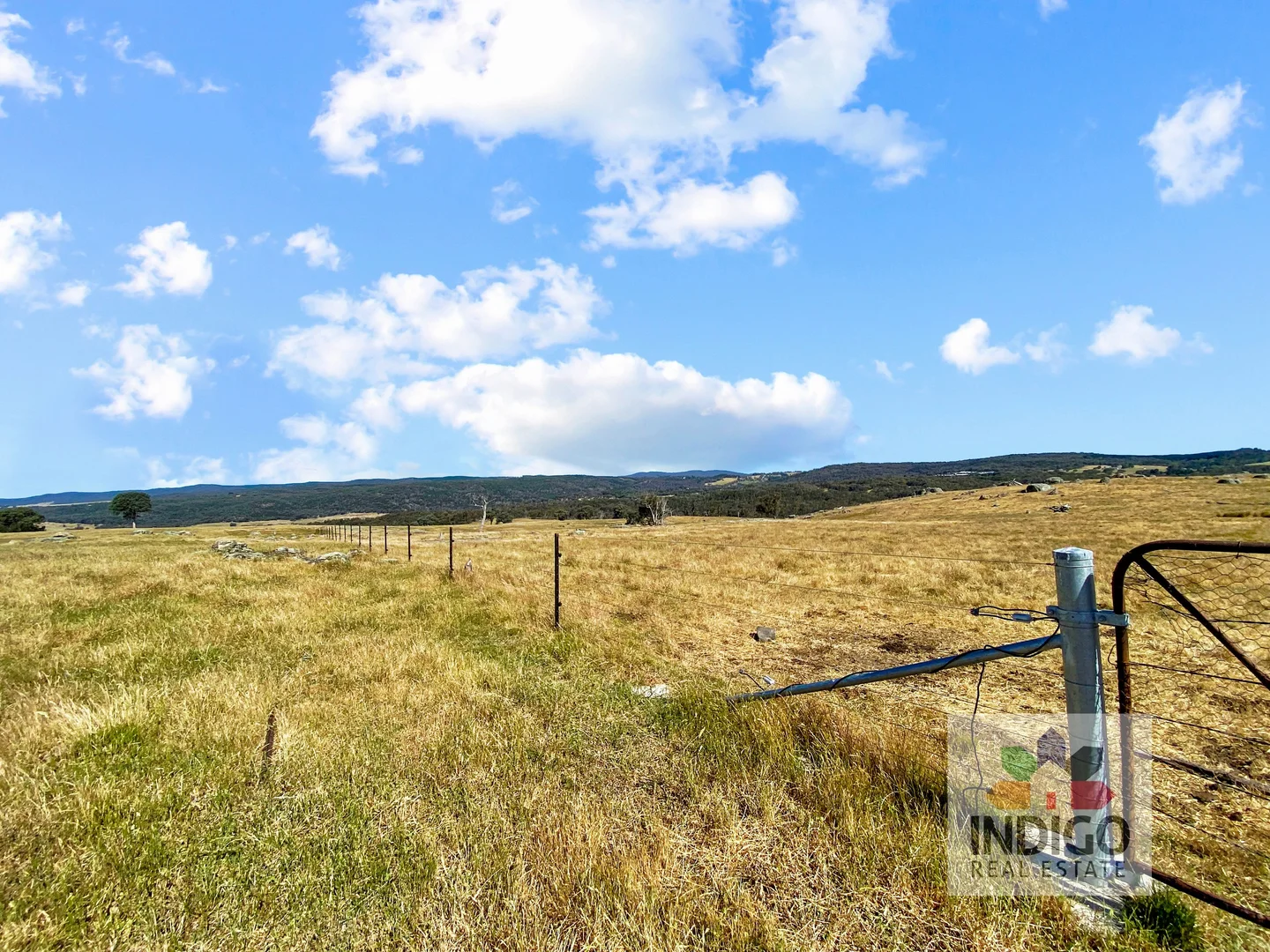 Additional image 13 of 181 Mcfeeters Road, Beechworth VIC 3747