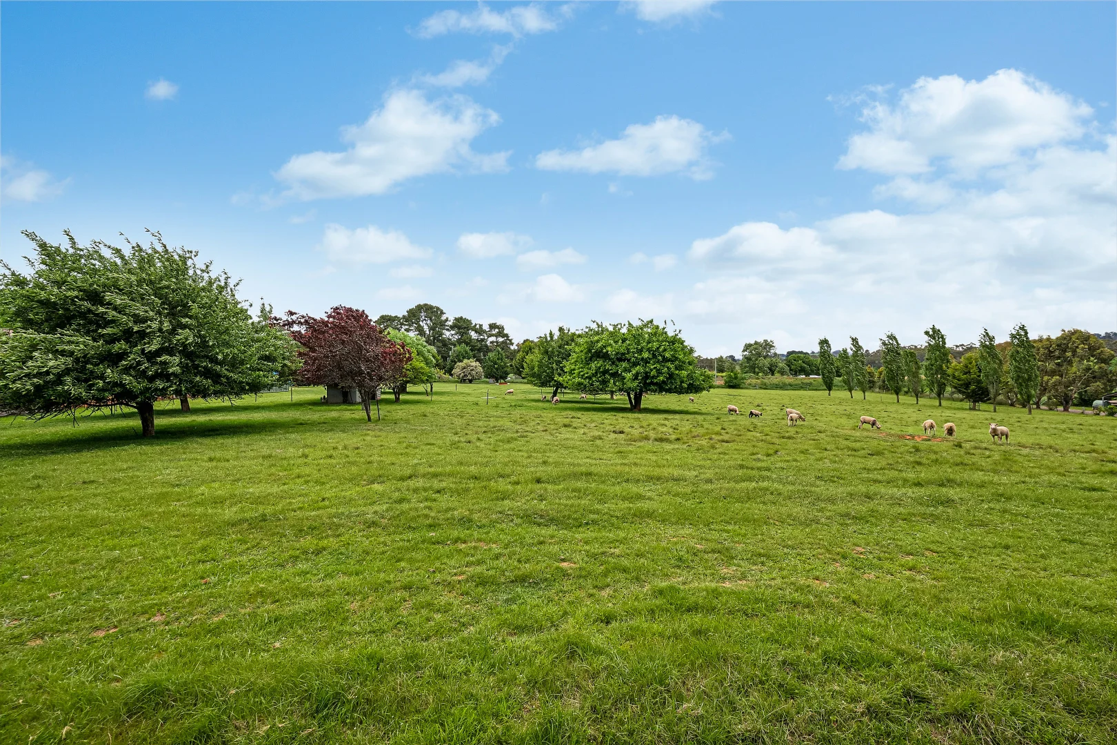 Additional image 13 of 2 Cherrywood Close, Orange NSW 2800