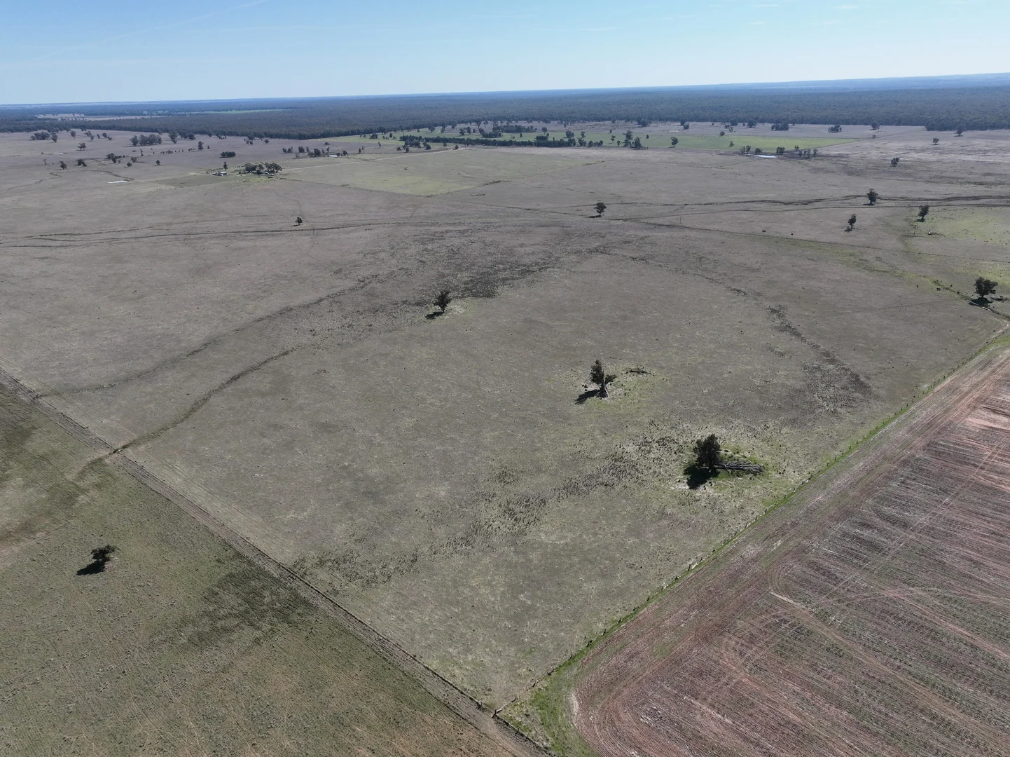 Additional image 7 of 'West Tarrawonga' 56 Donnelly Road, Eumungerie NSW 2822