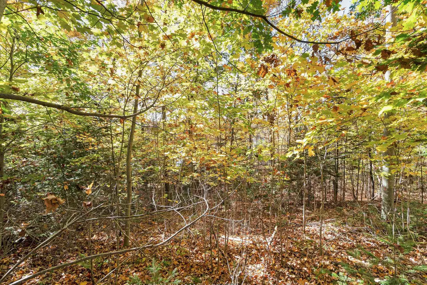 Additional image 17 of 0 Balsam Lane