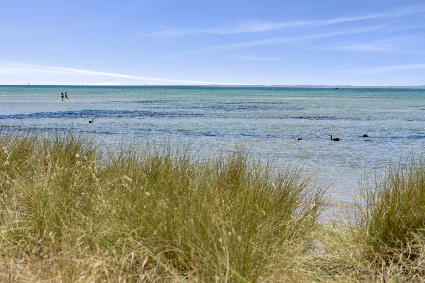 Additional image 6 of 161 Boatshed, Rosebud VIC 3939