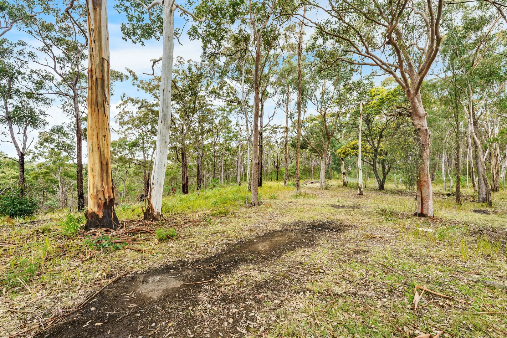 Additional image 13 of 53 Burragorang Road, Oakdale NSW 2570