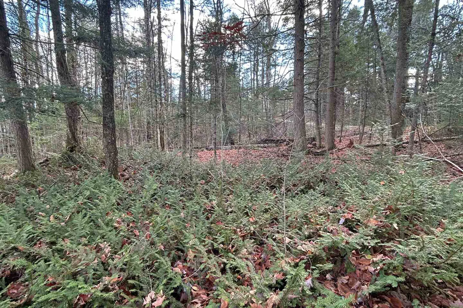 Additional image 5 of 0 Mill Lake Road