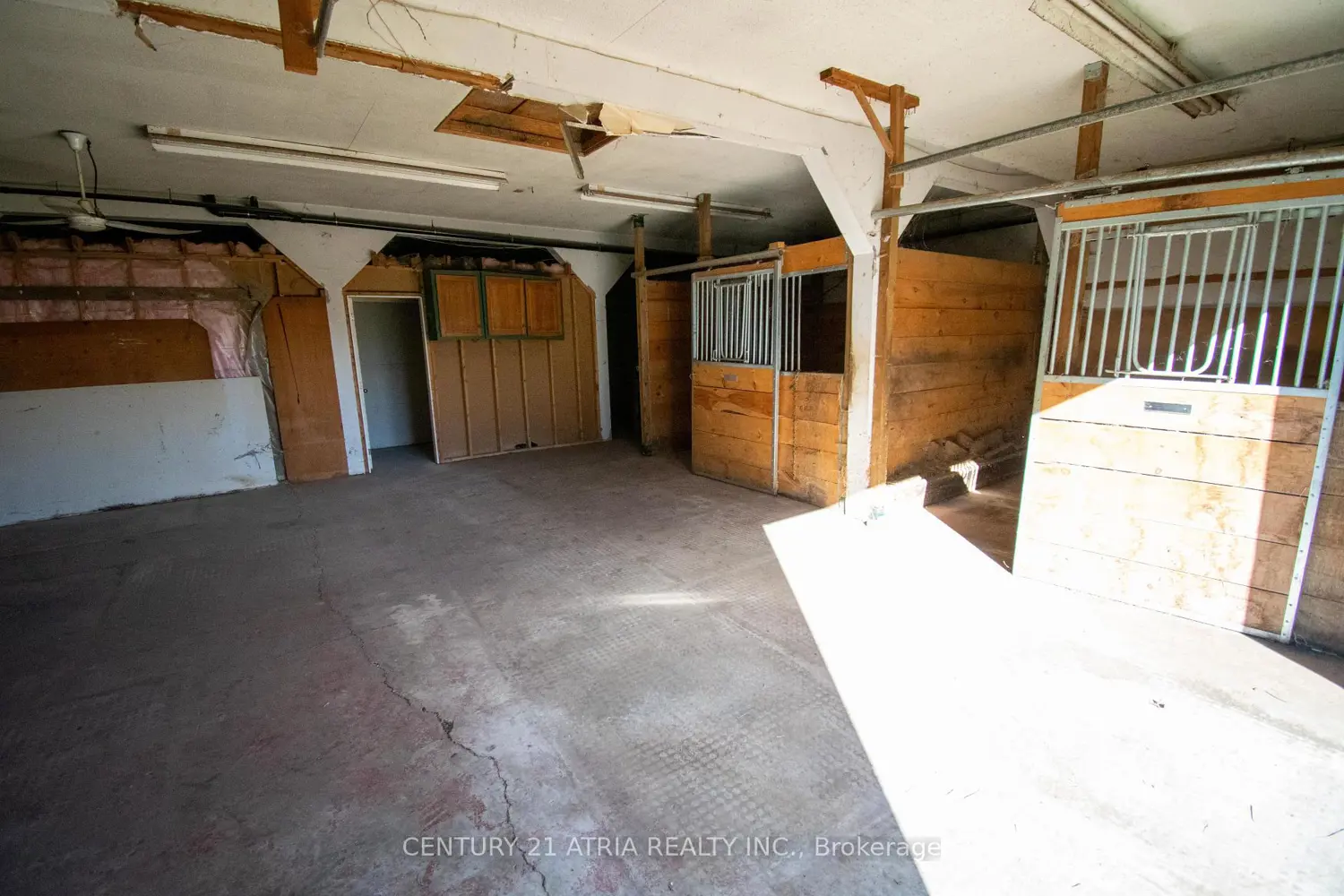 Additional image 18 of 119 Knapp Street