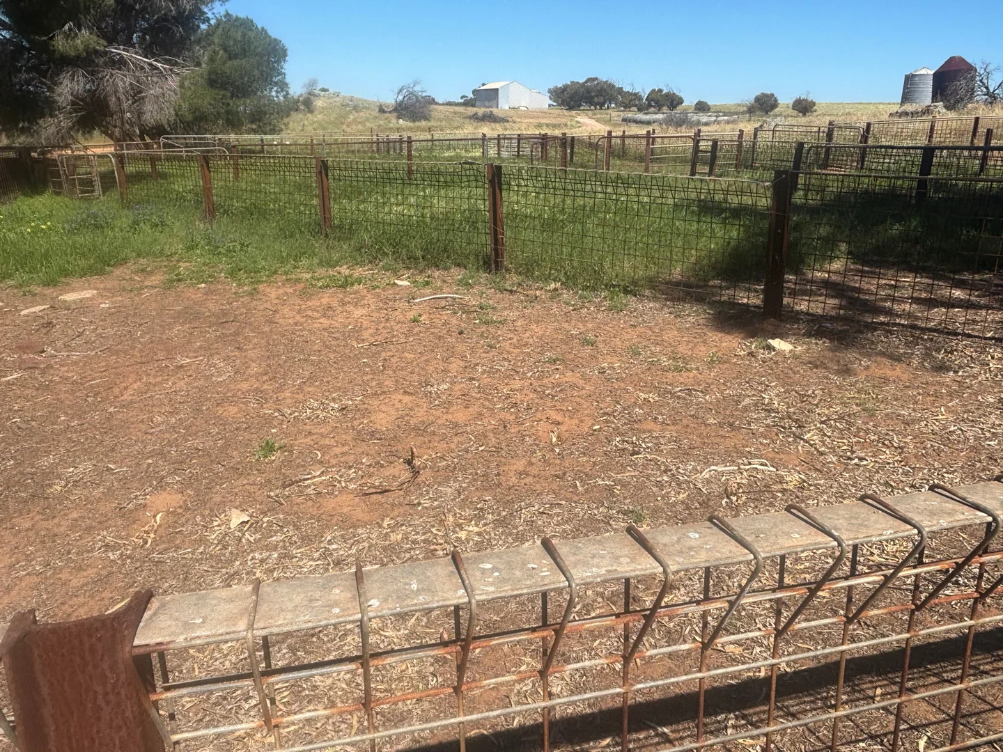 Additional image 26 of 829 Nabawa Northampton Road, Hickety WA 6532