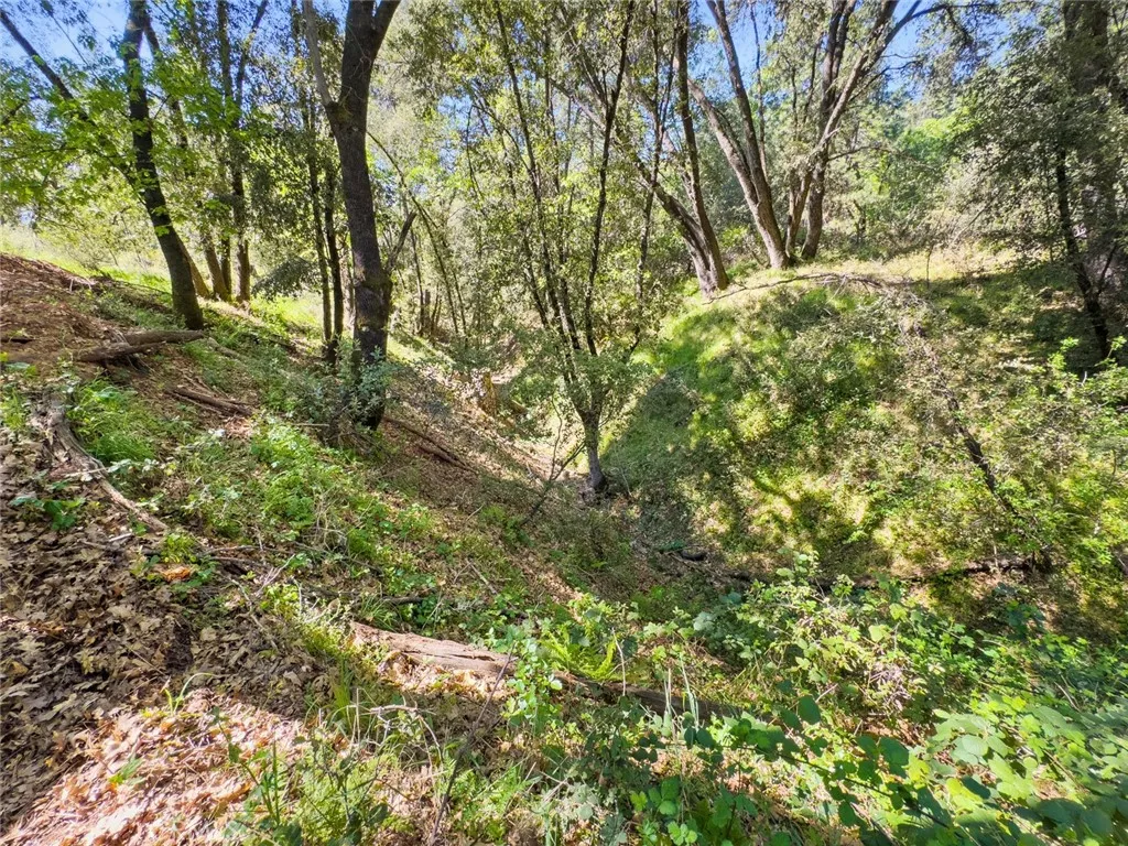 Additional image 21 of 22666 Lower Quail Mine Road, Sonora, CA 95370