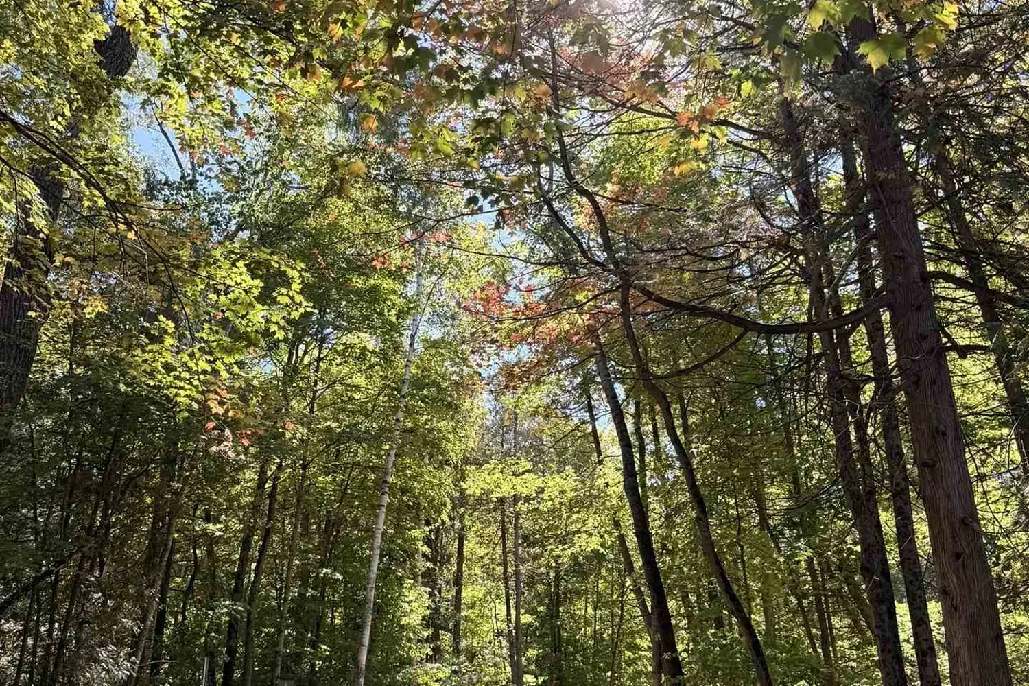 Additional image 13 of 52 Bloxham Place