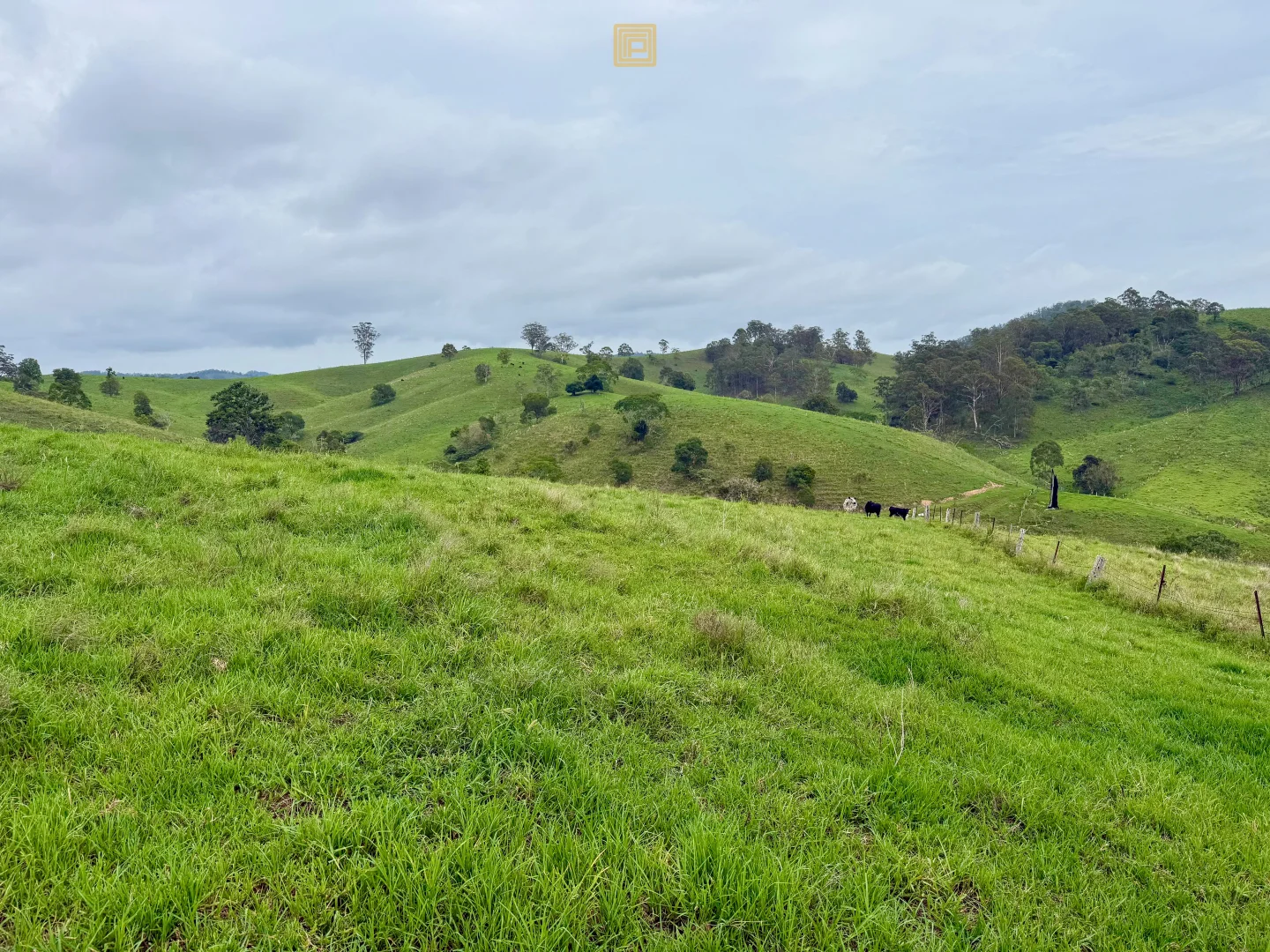 Additional image 10 of 84 Wallanbah Road, Gloucester NSW 2422