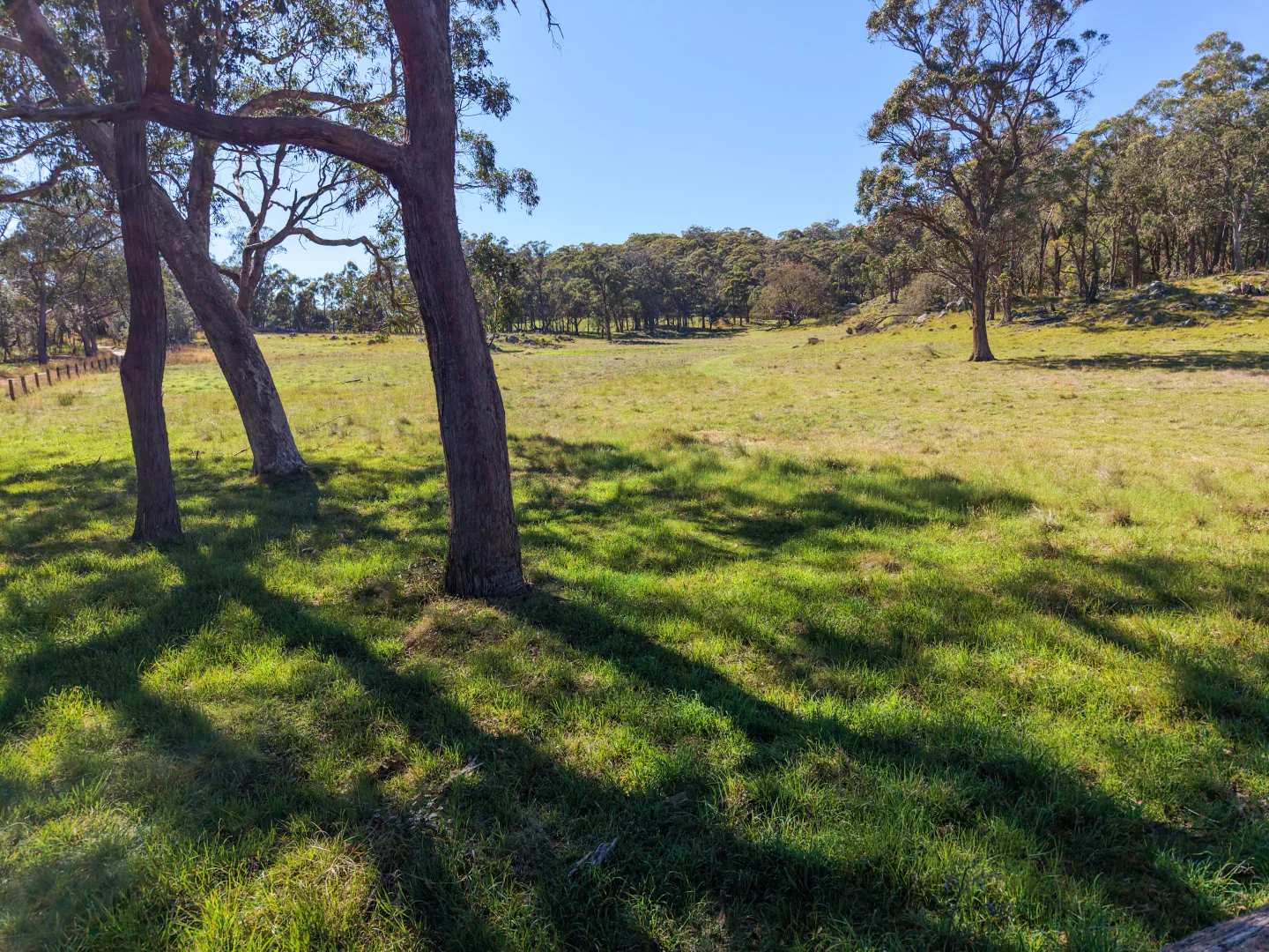 Additional image 20 of 2153 Mount Lindesay Road, Tenterfield NSW 2372