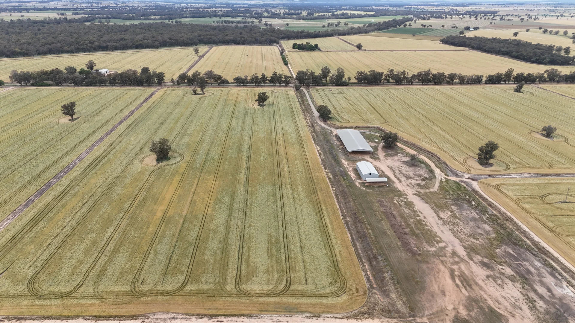 Additional image 5 of 69 Ercildoune Lane South, Forbes NSW 2871