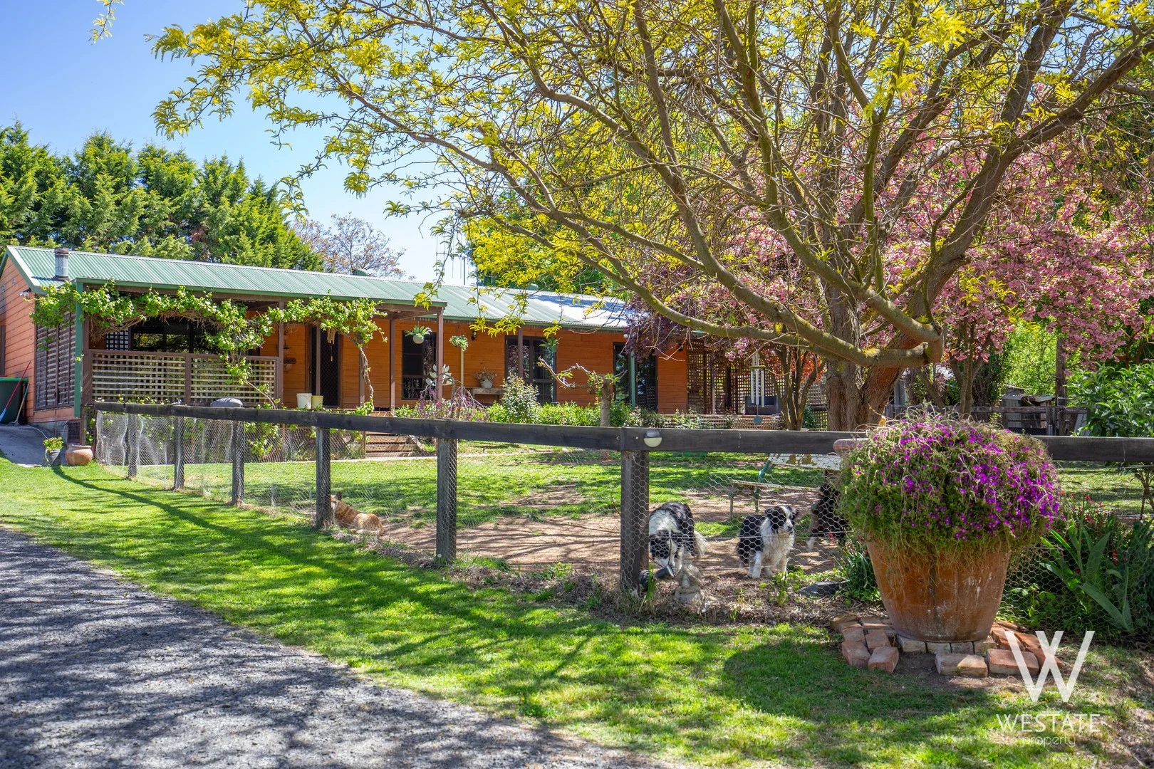 Additional image 10 of 13a Macquarie Street, West Bathurst NSW 2795