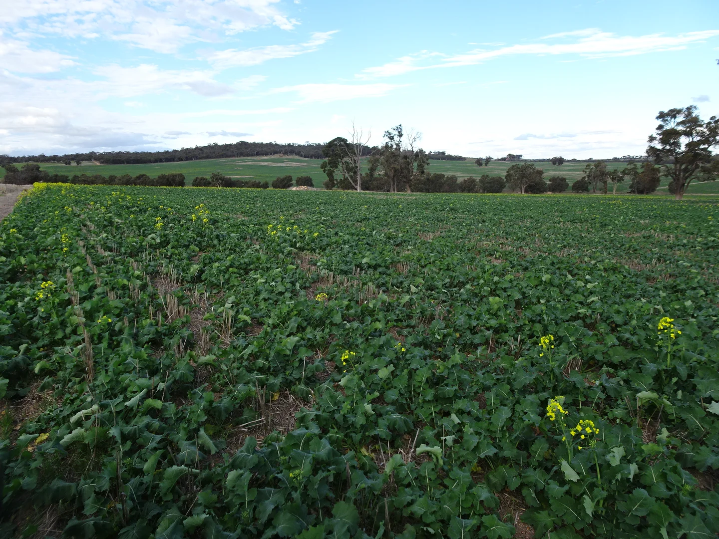 Additional image 8 of Grout Road, Cuballing WA 6311