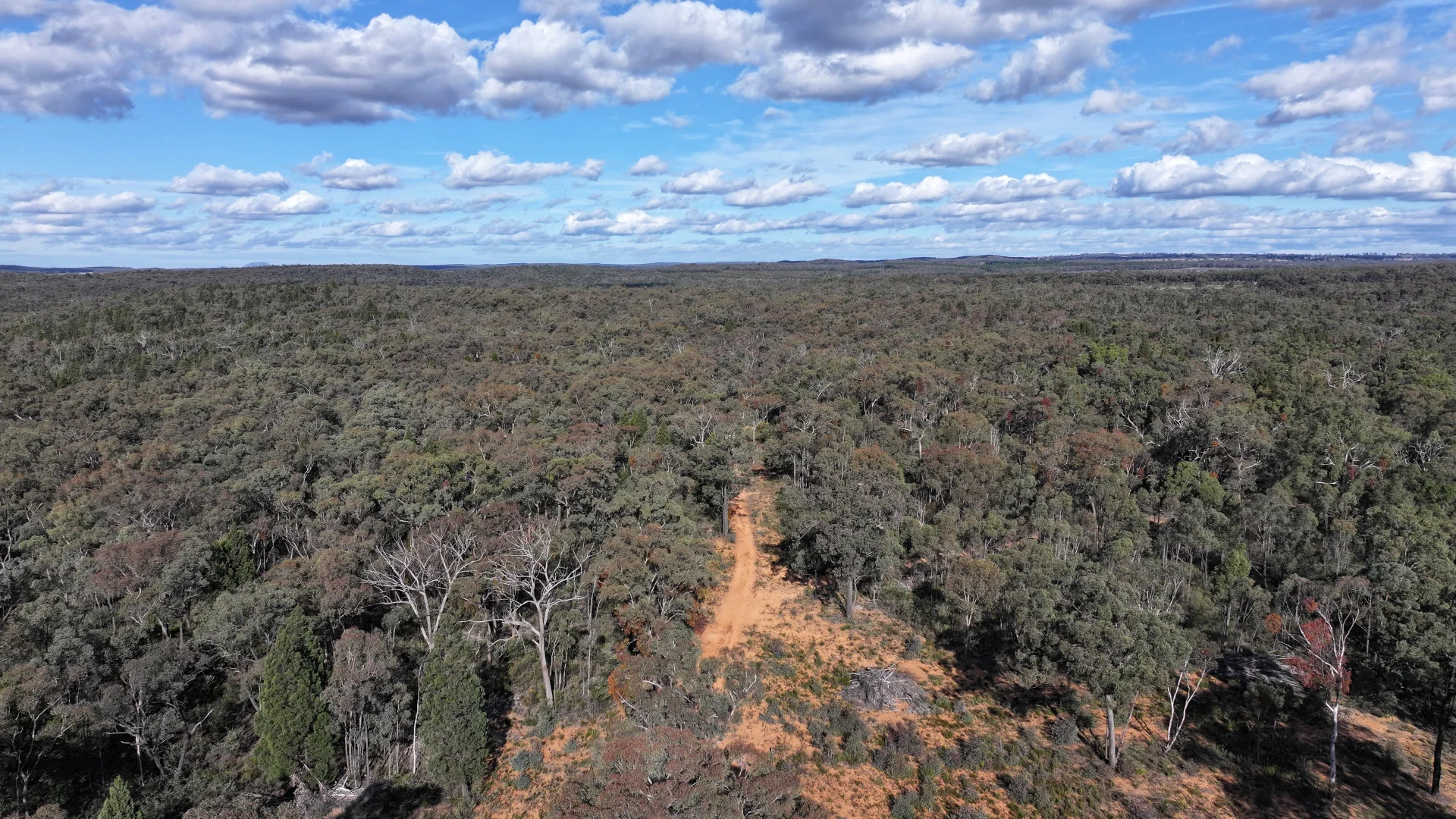 Additional image 2 of 97 Aquilla Ave, Dandry NSW 2357