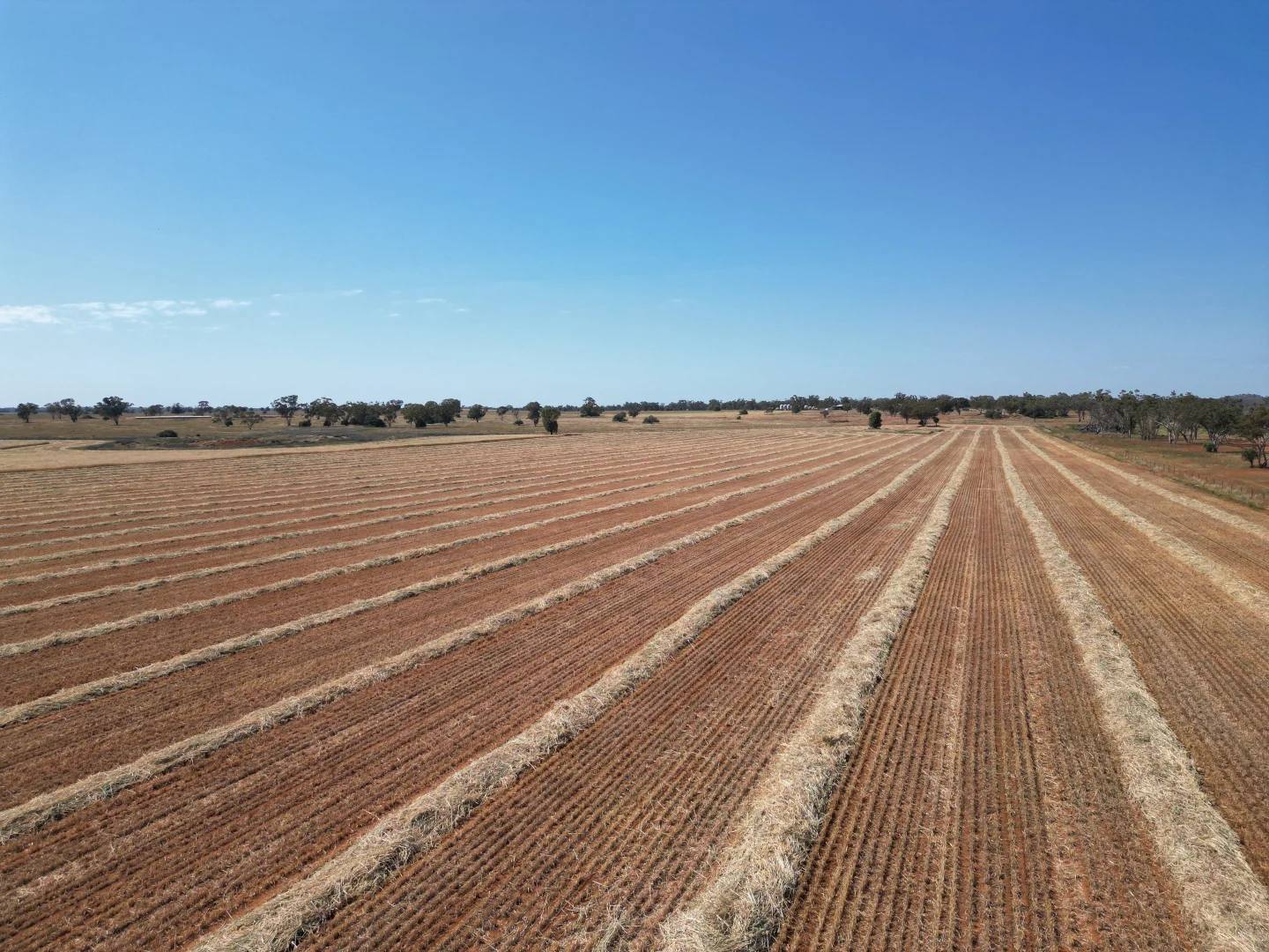 Additional image 17 of "Glendale"/4666 Mitchell Highway, Girilambone NSW 2831