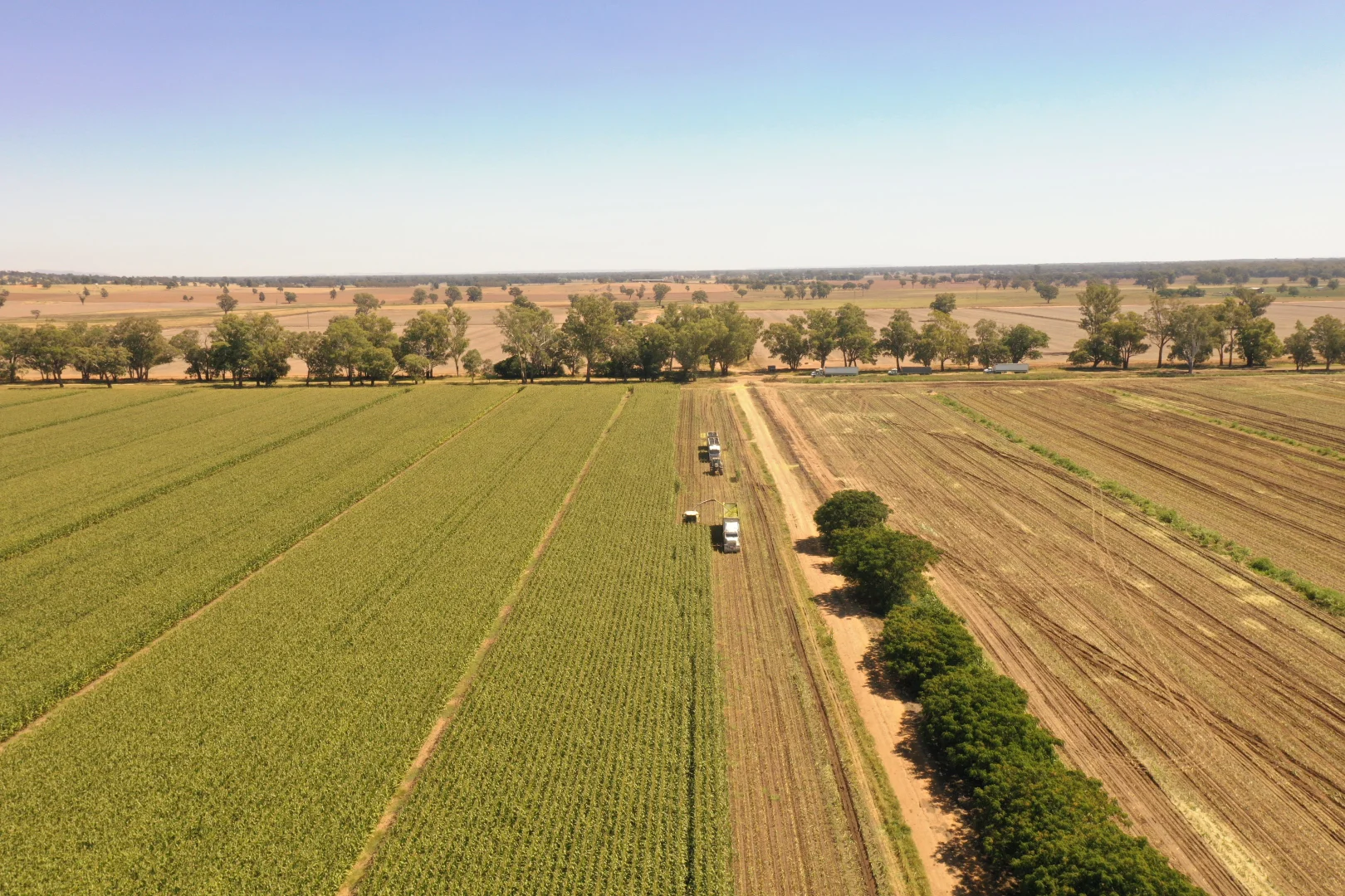 Additional image 12 of 69 Ercildoune Lane South, Forbes NSW 2871