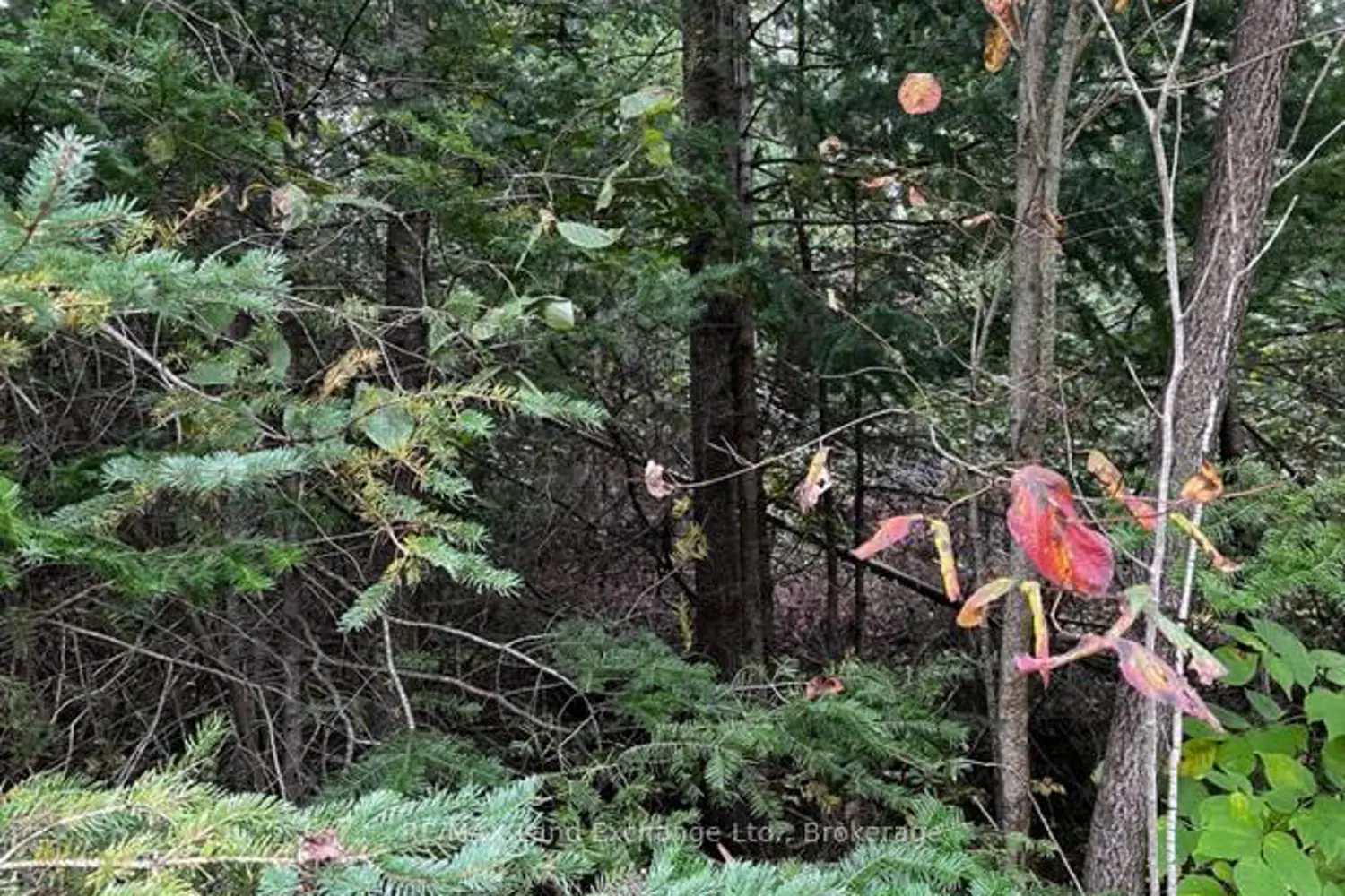 Additional image 9 of 2 Shore Road
