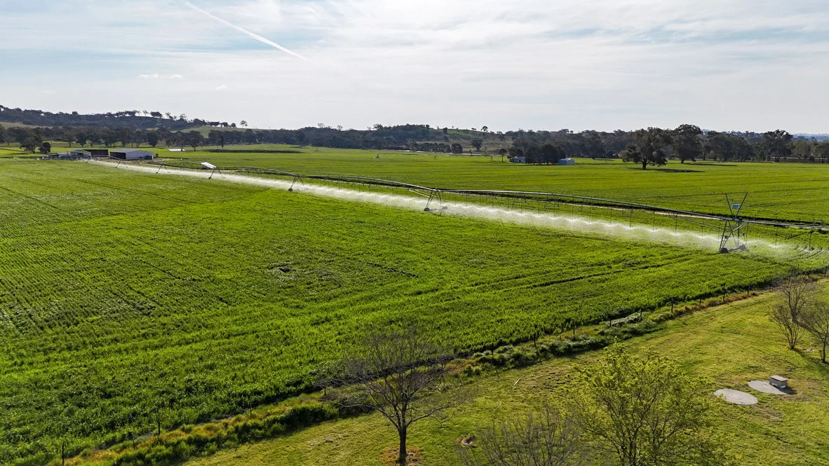 Additional image 8 of 1733 Goolma Road, Gulgong NSW 2852