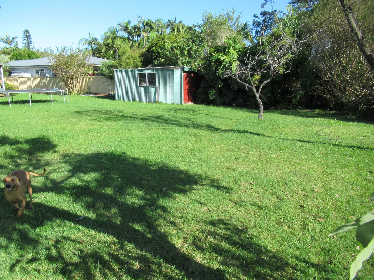 Additional image 2 of 53 Eighteenth Ave, Sawtell NSW 2452