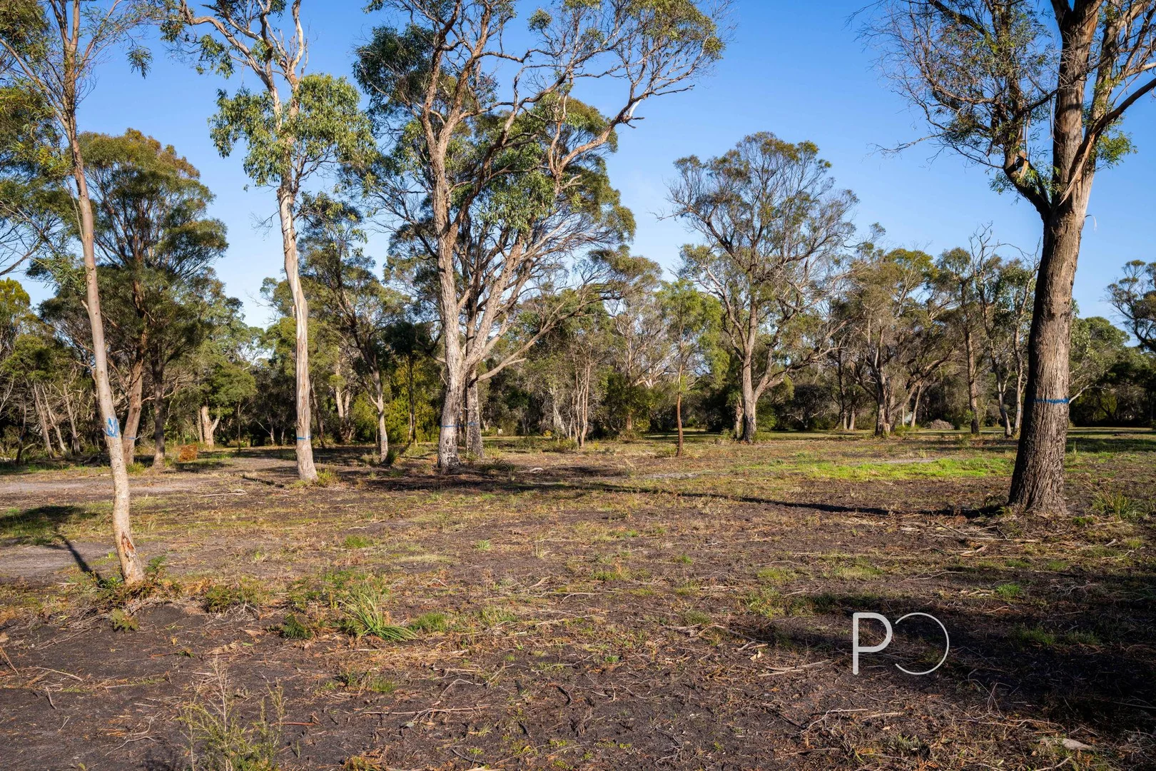 Additional image 3 of Lot 1/61 Port Hills Road, Bridport TAS 7262