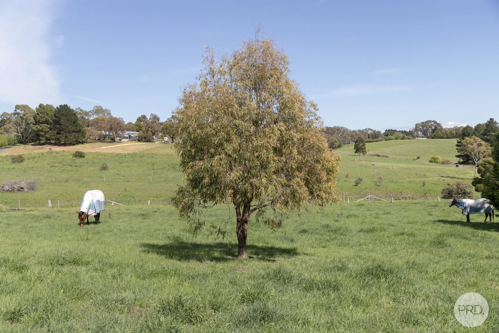 Additional image 12 of 25 Consols Court, Clunes VIC 3370