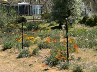 Additional image 19 of 28 Macovoy Lane, Waanyarra VIC 3551