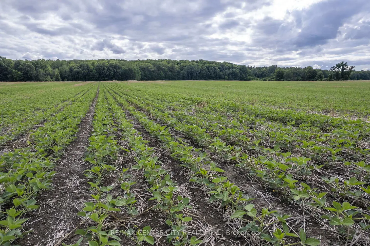 Additional image 20 of Pt Lts 38 & 39 Conc 9