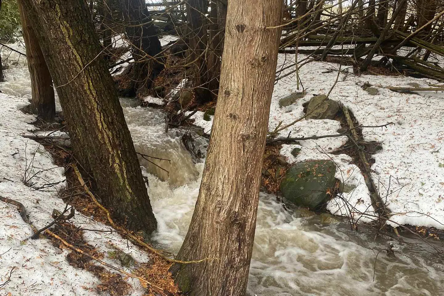 Additional image 13 of 323 Orange Corners Road