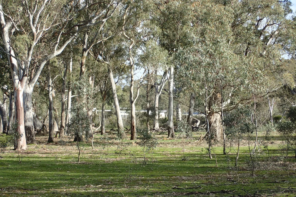 Additional image 22 of 250 Hoffmanns Road, Mooralla VIC 3314