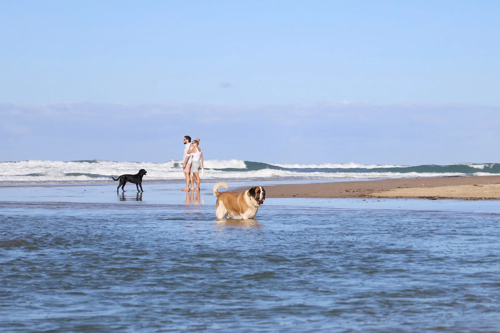 Additional image 8 of 10 Hudson Drive, Coolum Beach QLD 4573