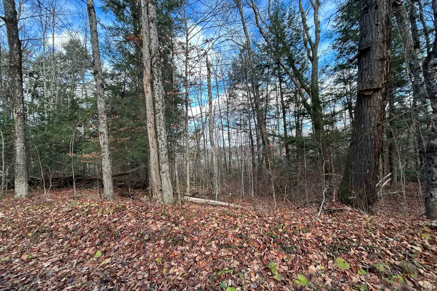 Additional image 14 of 0 Mill Lake Road