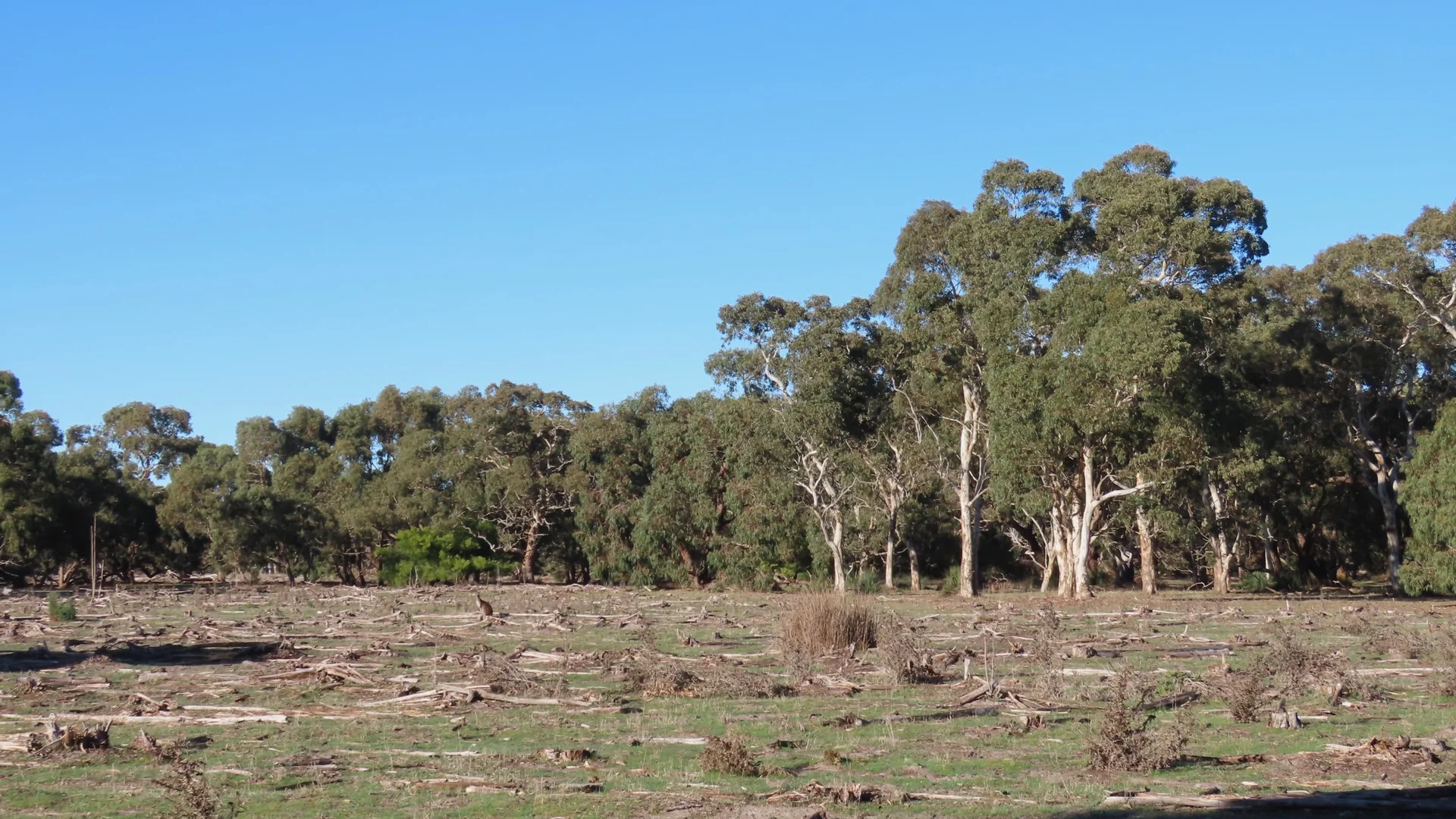 Additional image 4 of 225 Coles-Killanoola Road, Coles SA 5272